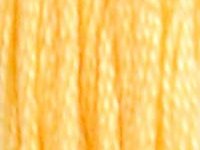 DMC 19 Autumn Gold Medium Light