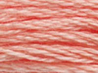 DMC 3824 Apricot Light