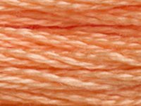 DMC 3825 Pumpkin Pale