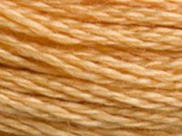 DMC 3827 Golden Brown Pale