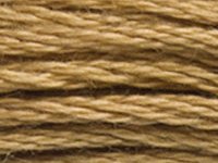 DMC 3828 Hazelnut Brown