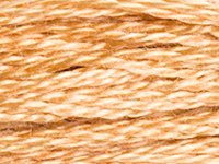 DMC 437 Tan Light