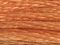 DMC 721 Orange Spice Medium