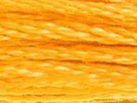 DMC 742 Tangerine Light