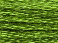 DMC 906 Parrot Green Medium